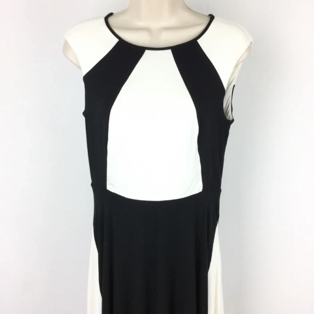 Ann Taylor Gorgeous Swingy Dress EUC